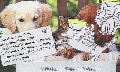 Image from Imgur -- anonymous image sharing